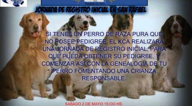 Imagen destacada del artículo «Jornada de Registros en San Rafael Mendoza»